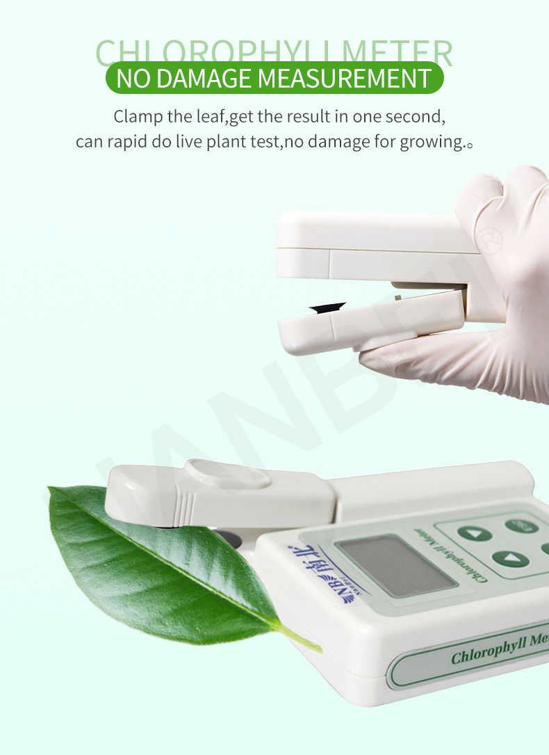 chlorophyll meter1